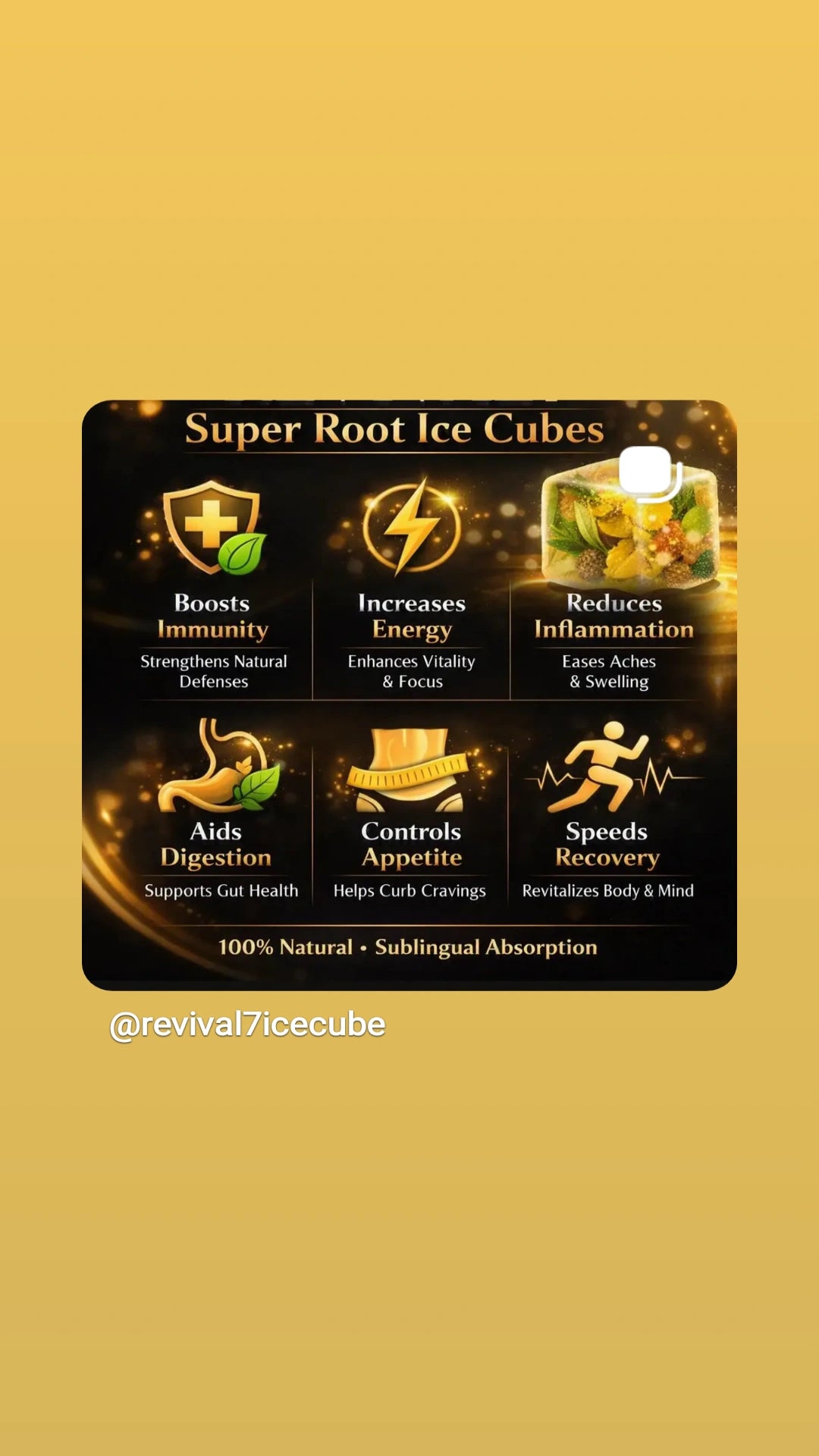 Revival7 Handmade Ice Cube Juice 330ml · 7 Super Root & Fruit Extracts · One‑Month Supply